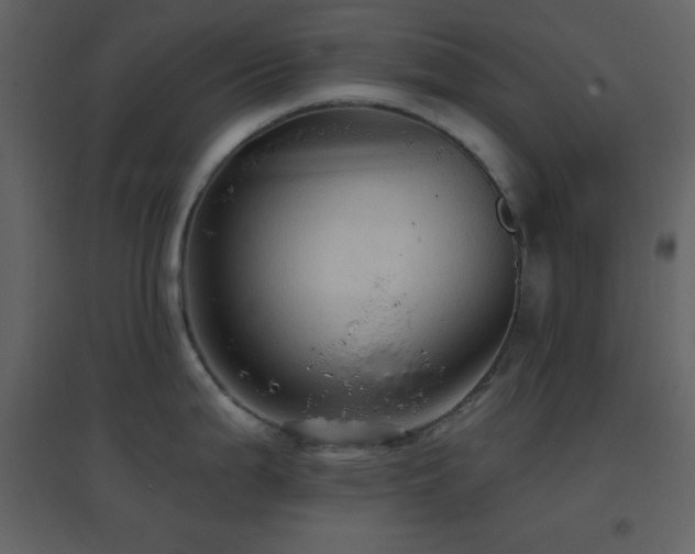 X0000096691199200802051338