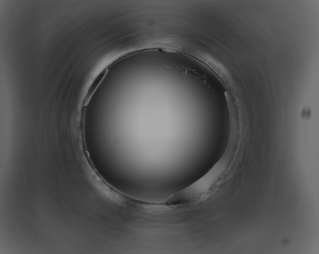 X0000096691200200802051338
