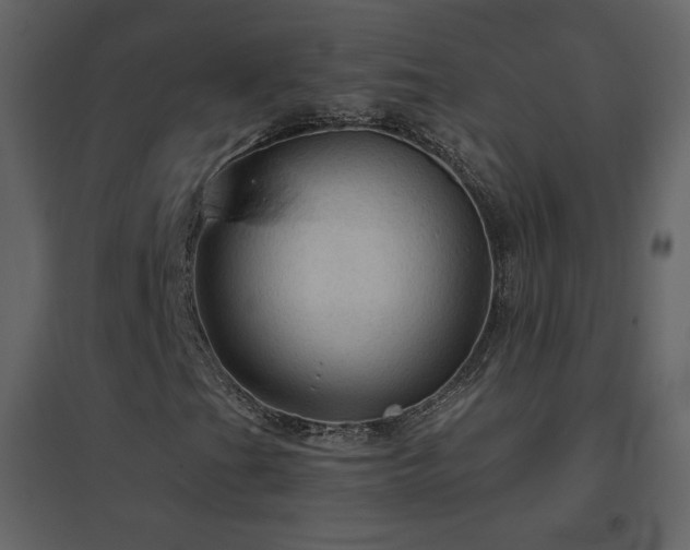 X0000096691201200802051338