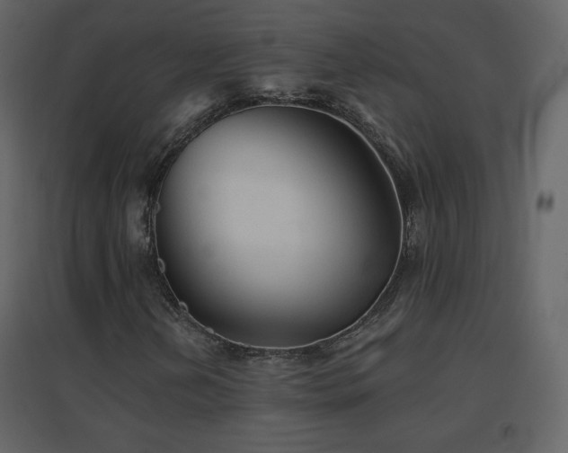 X0000096691202200802051338