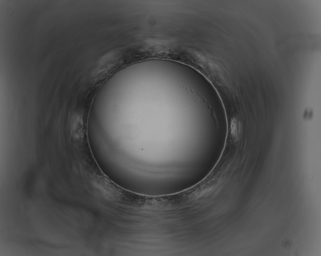 X0000096691203200802051338