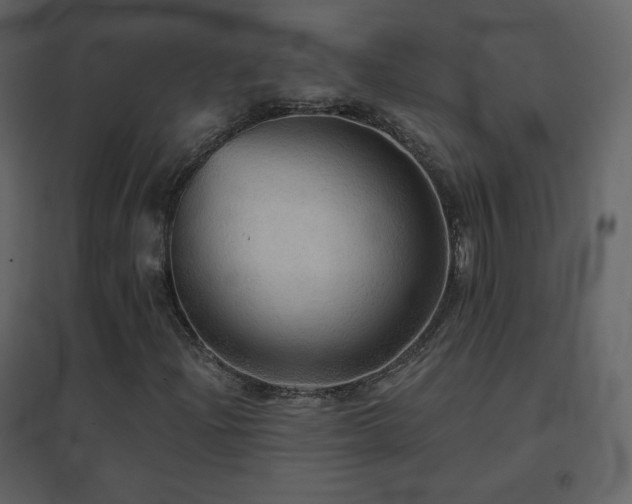 X0000096691204200802051338