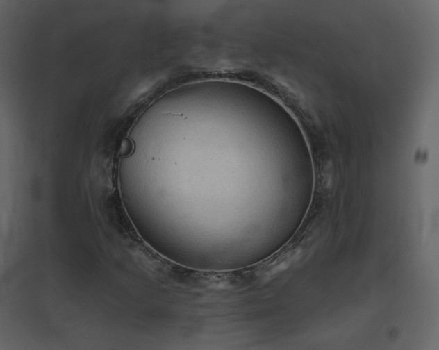 X0000096691205200802051338