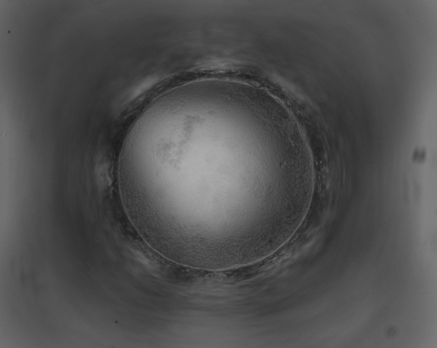 X0000096691206200802051338