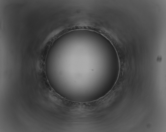 X0000096691207200802051338