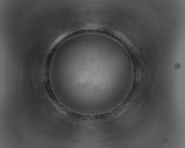 X0000096691208200802051338