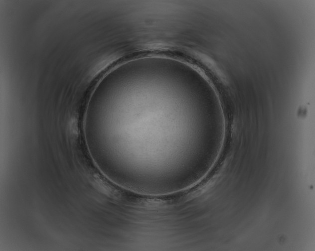 X0000096691209200802051338