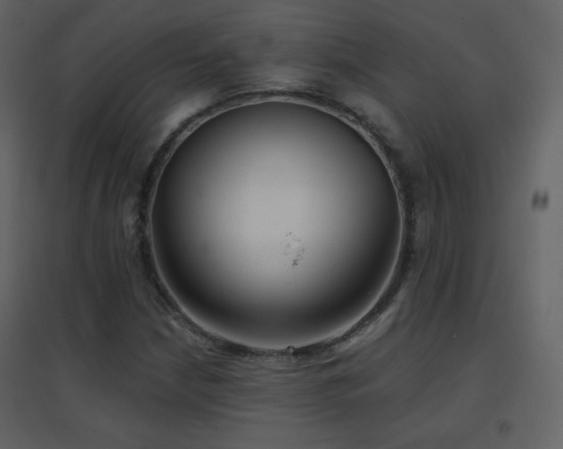 X0000096691210200802051338