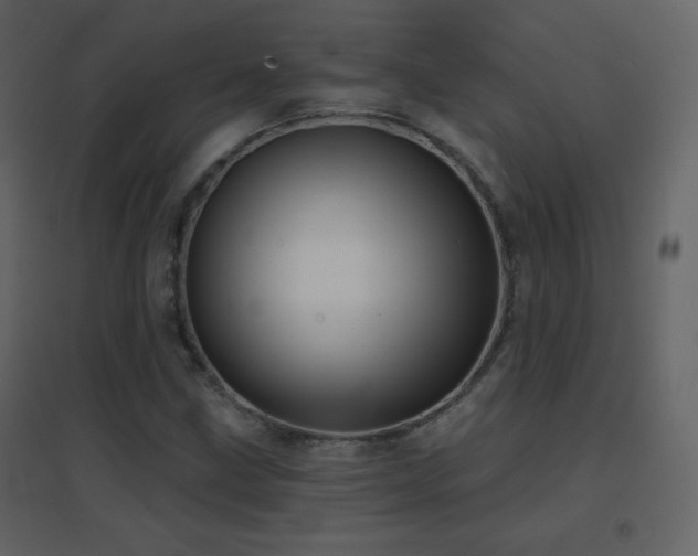 X0000096691211200802051338