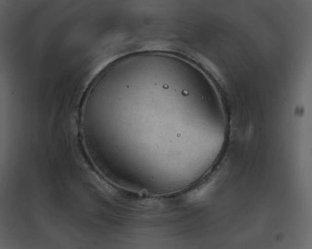 X0000096691212200802051338