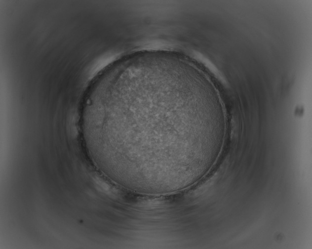 X0000096691213200802051338