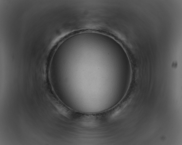 X0000096691214200802051338