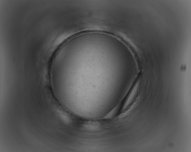 X0000096691215200802051338