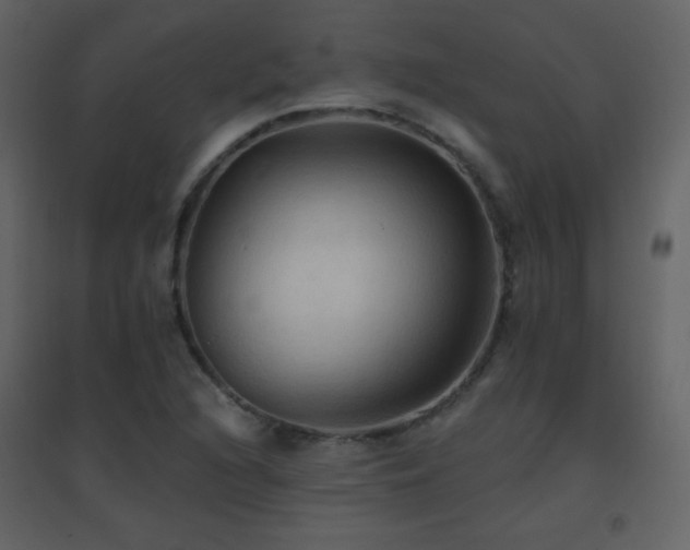 X0000096691216200802051338