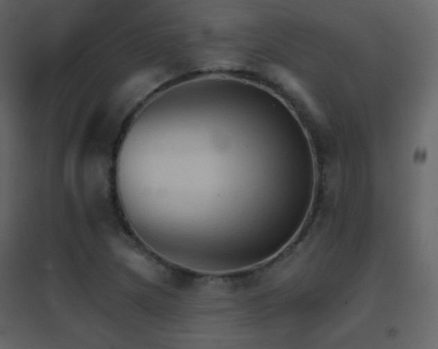 X0000096691217200802051338