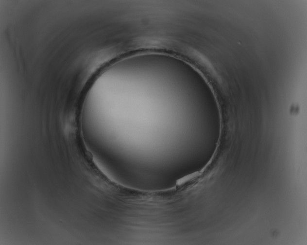 X0000096691218200802051338
