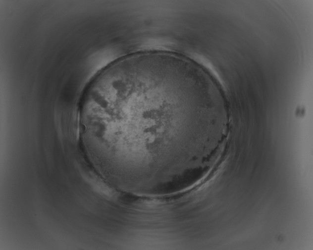 X0000096691219200802051338