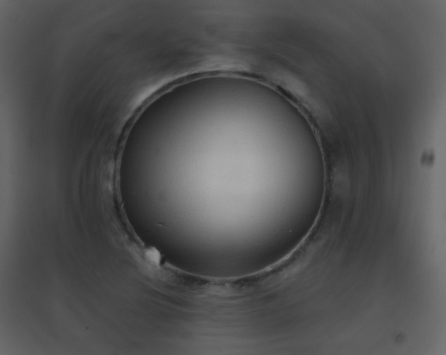 X0000096691220200802051338
