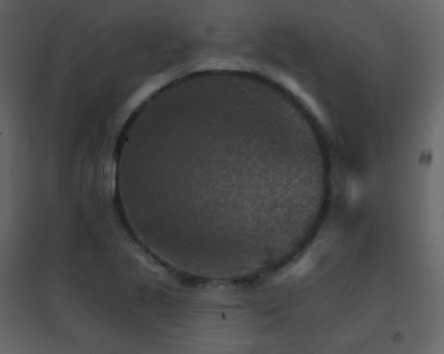 X0000096691221200802051338