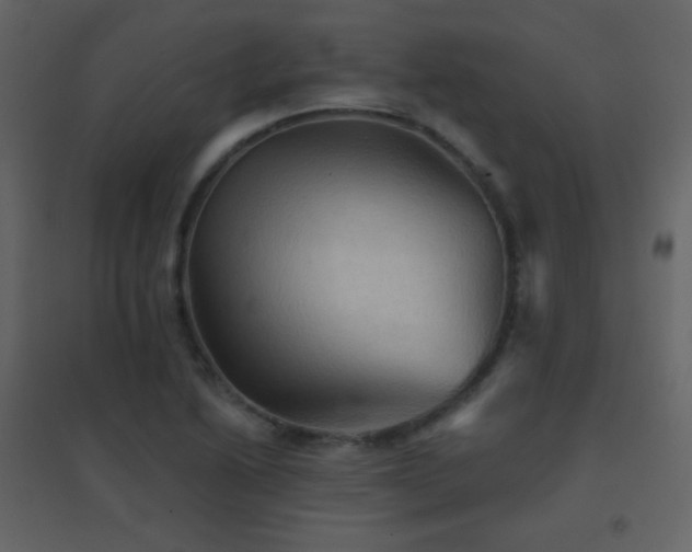 X0000096691222200802051338