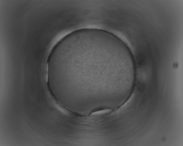 X0000096691223200802051338