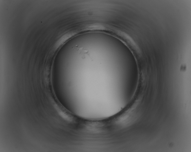 X0000096691225200802051338