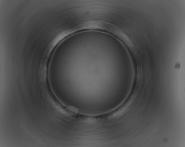 X0000096691226200802051338