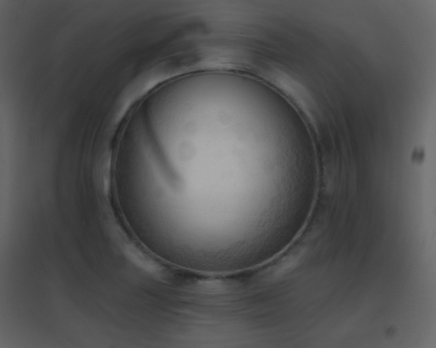 X0000096691227200802051338