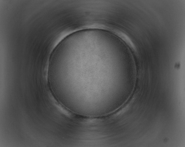 X0000096691228200802051338