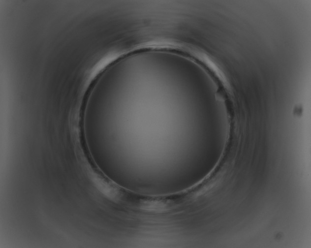 X0000096691229200802051338