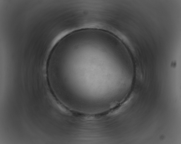 X0000096691230200802051338