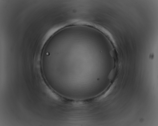 X0000096691231200802051338