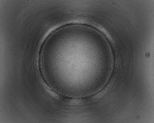 X0000096691232200802051338