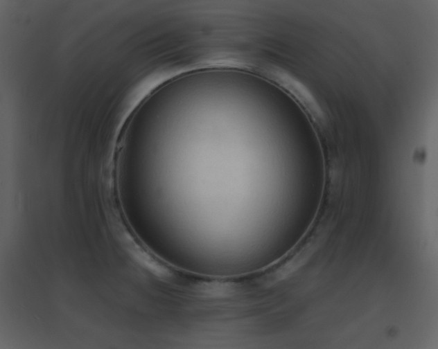 X0000096691236200802051338