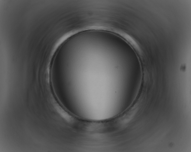 X0000096691238200802051338
