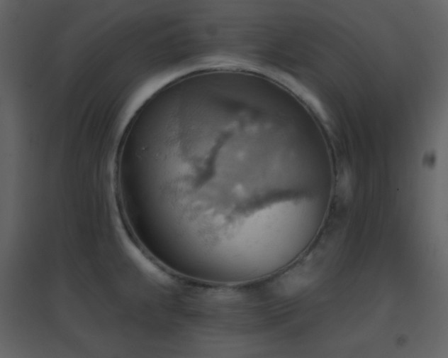 X0000096691239200802051338