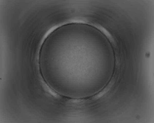 X0000096691240200802051338