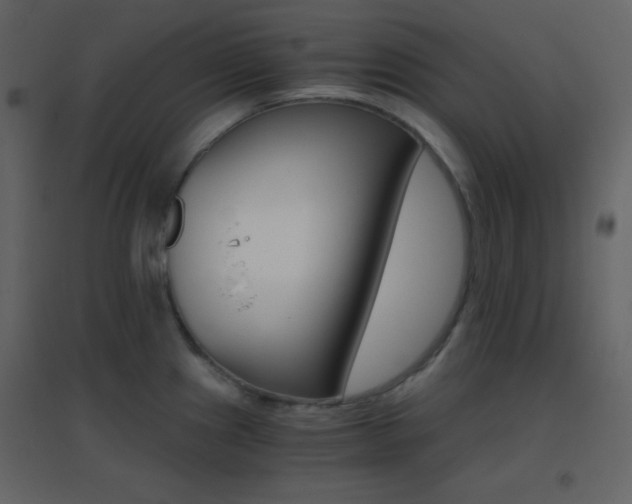 X0000096691241200802051338