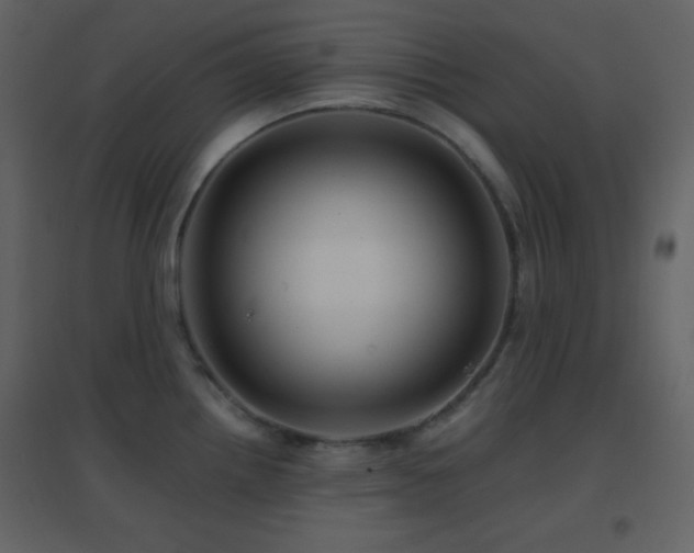 X0000096691242200802051338
