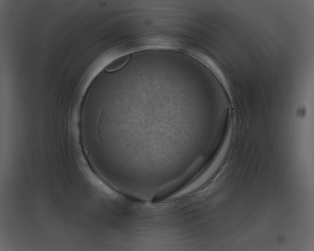 X0000096691243200802051338