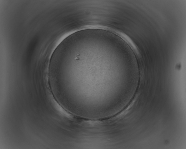 X0000096691244200802051338