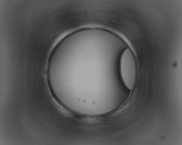 X0000096691245200802051338