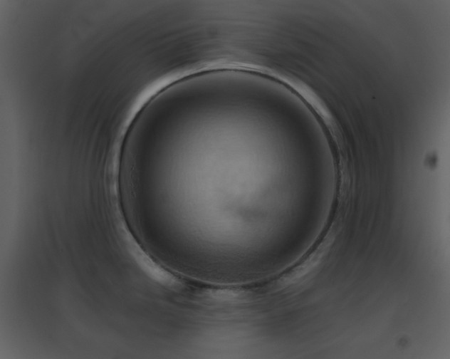 X0000096691246200802051338
