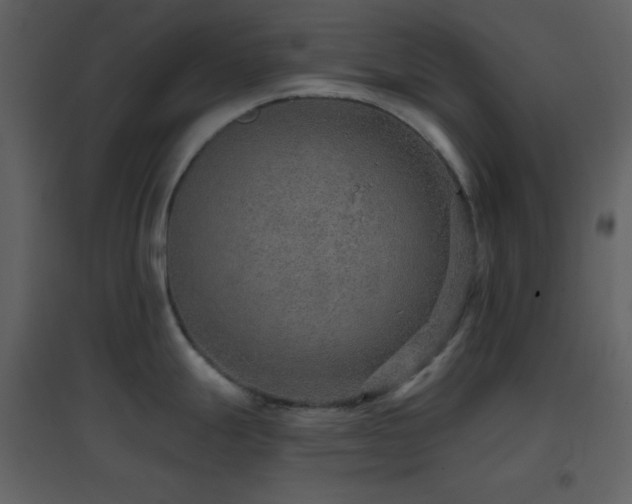 X0000096691247200802051338