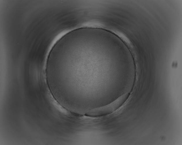 X0000096691248200802051338