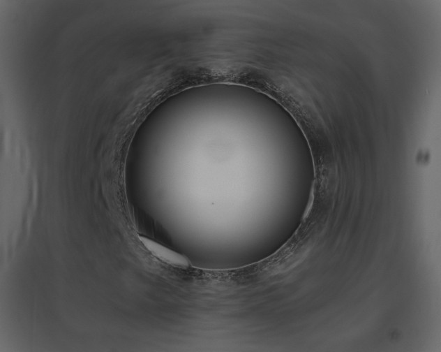 X0000096691249200802051338
