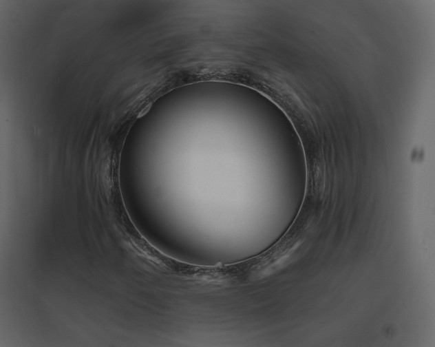 X0000096691250200802051337