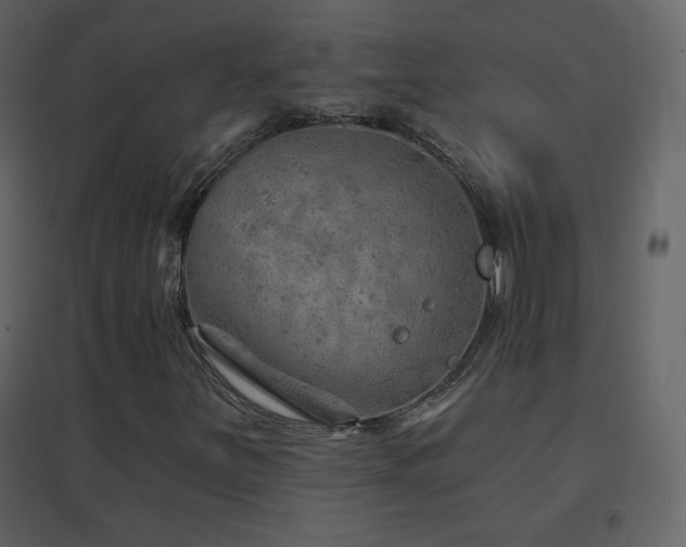 X0000096691251200802051337