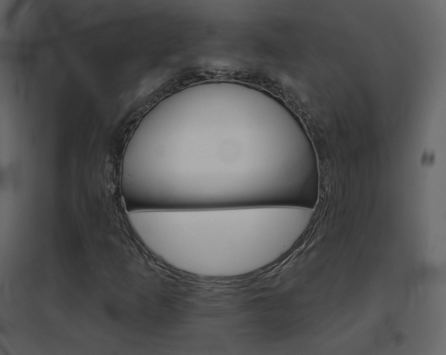 X0000096691253200802051337