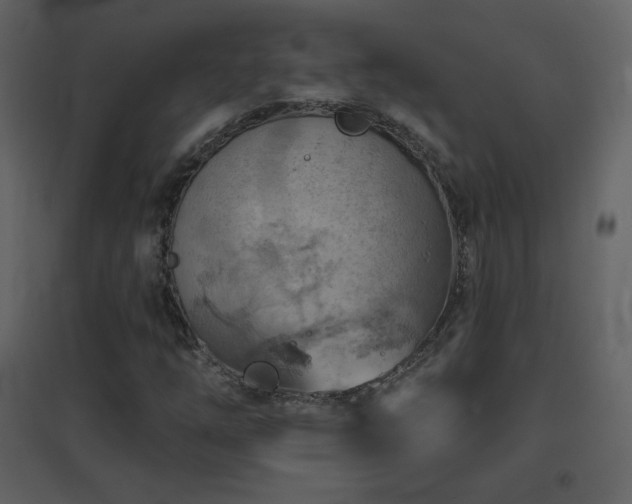 X0000096691254200802051337